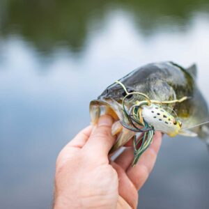 bass fishing mn 2